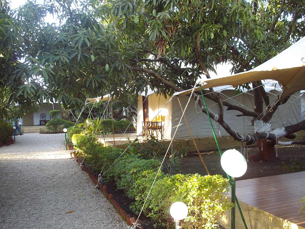 Canvas tents along a garden path with lamps